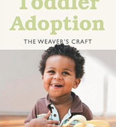 Toddler Adoption: The Weaver’s Craft